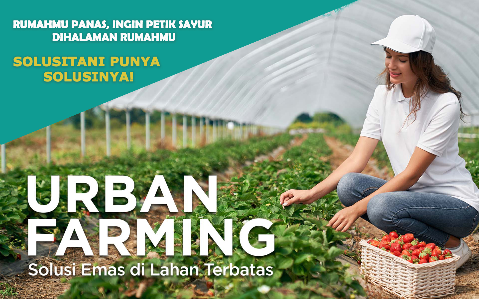 Urban farming Solusi Perubahan Iklim dan Ketahanan Pangan